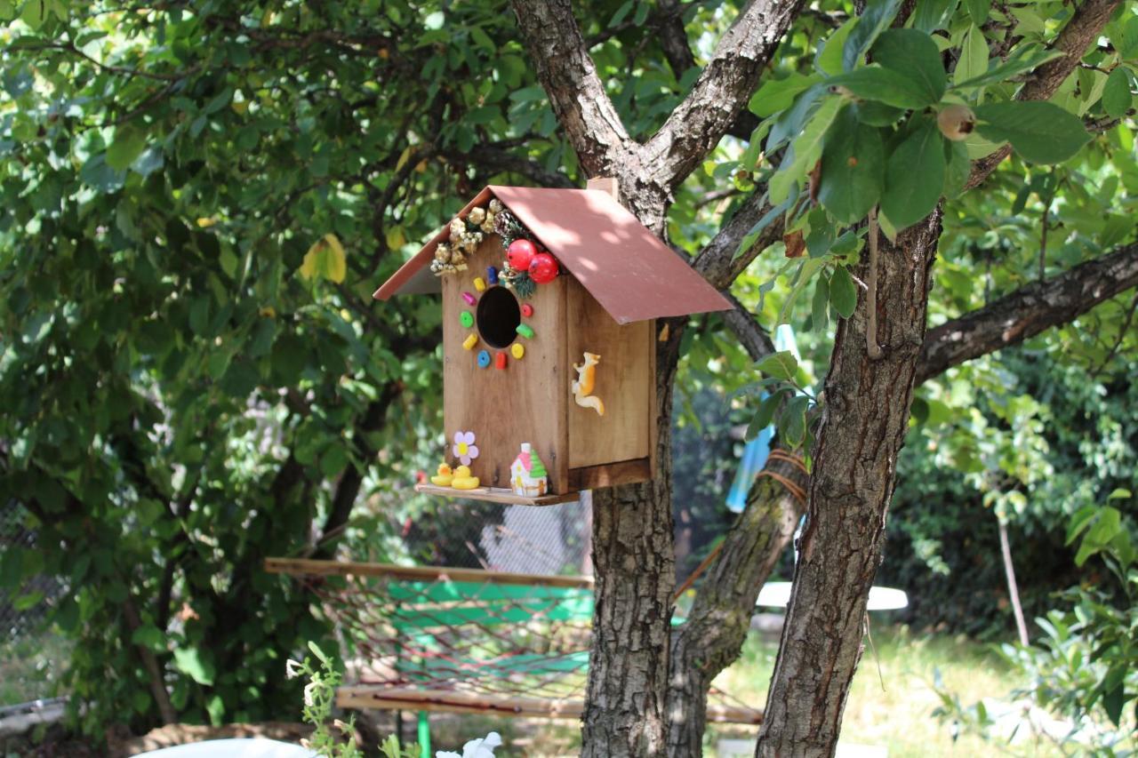 Guest House Poligloti Telavi Exteriér fotografie
